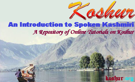 Koshur: An Introduction to Spoken Kashmiri Logo